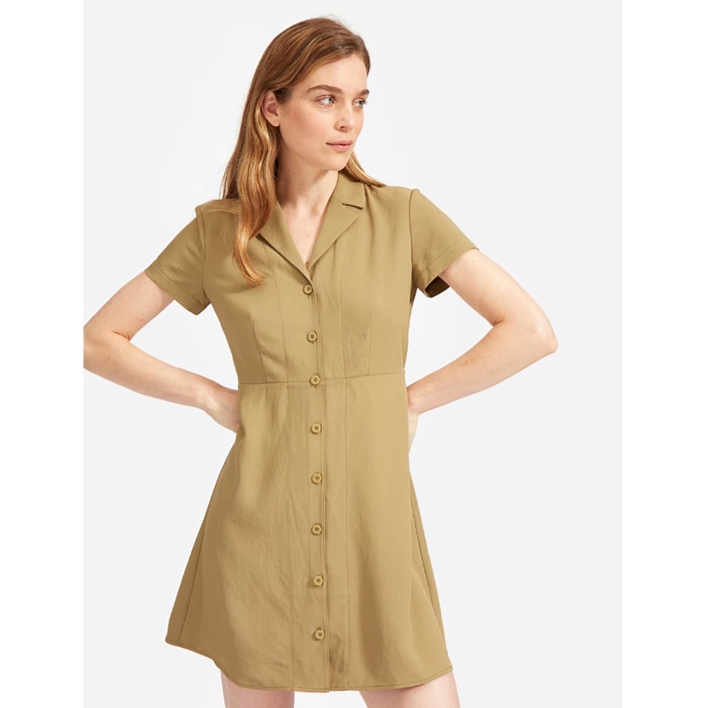 Everlane Japanese Goweave Notch Shirtdress